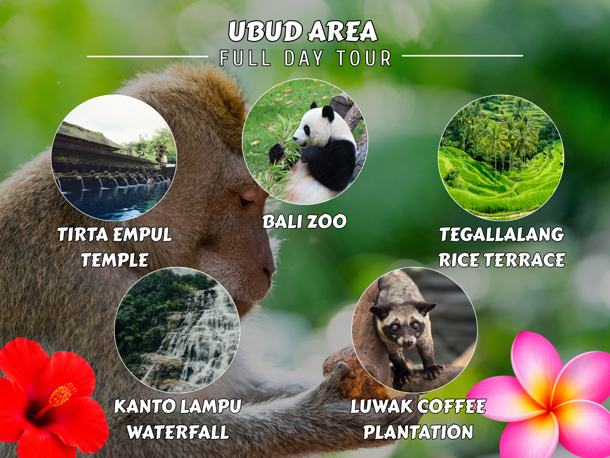 Ubud Area Tour