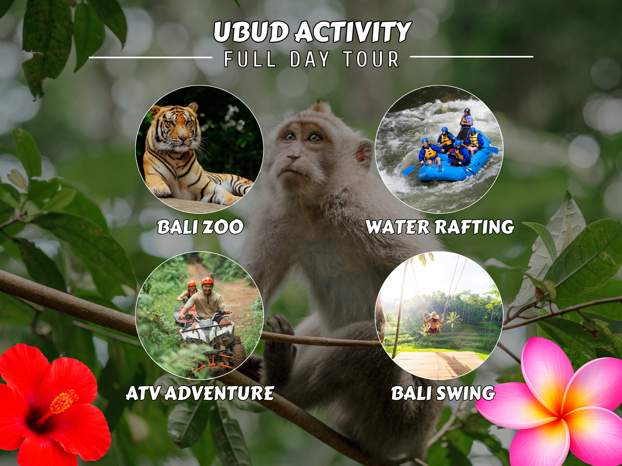 Ubud Activity Tour